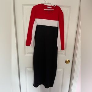 ZARA Colorblock bodycon fitting dress